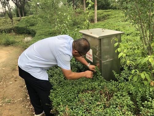城市运动公园管理处6月30日工作动态
