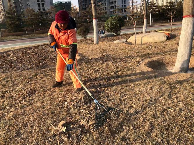 城市运动公园管理处12月28日工作动态