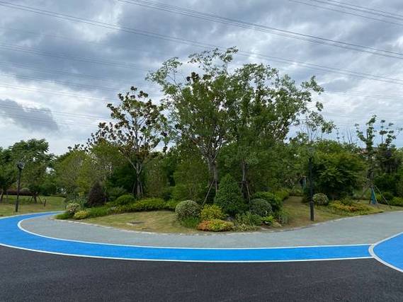 39座公园被纳入城市公园名录 上海城市公园已有477座