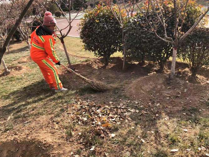 城市运动公园管理处1月5日工作动态